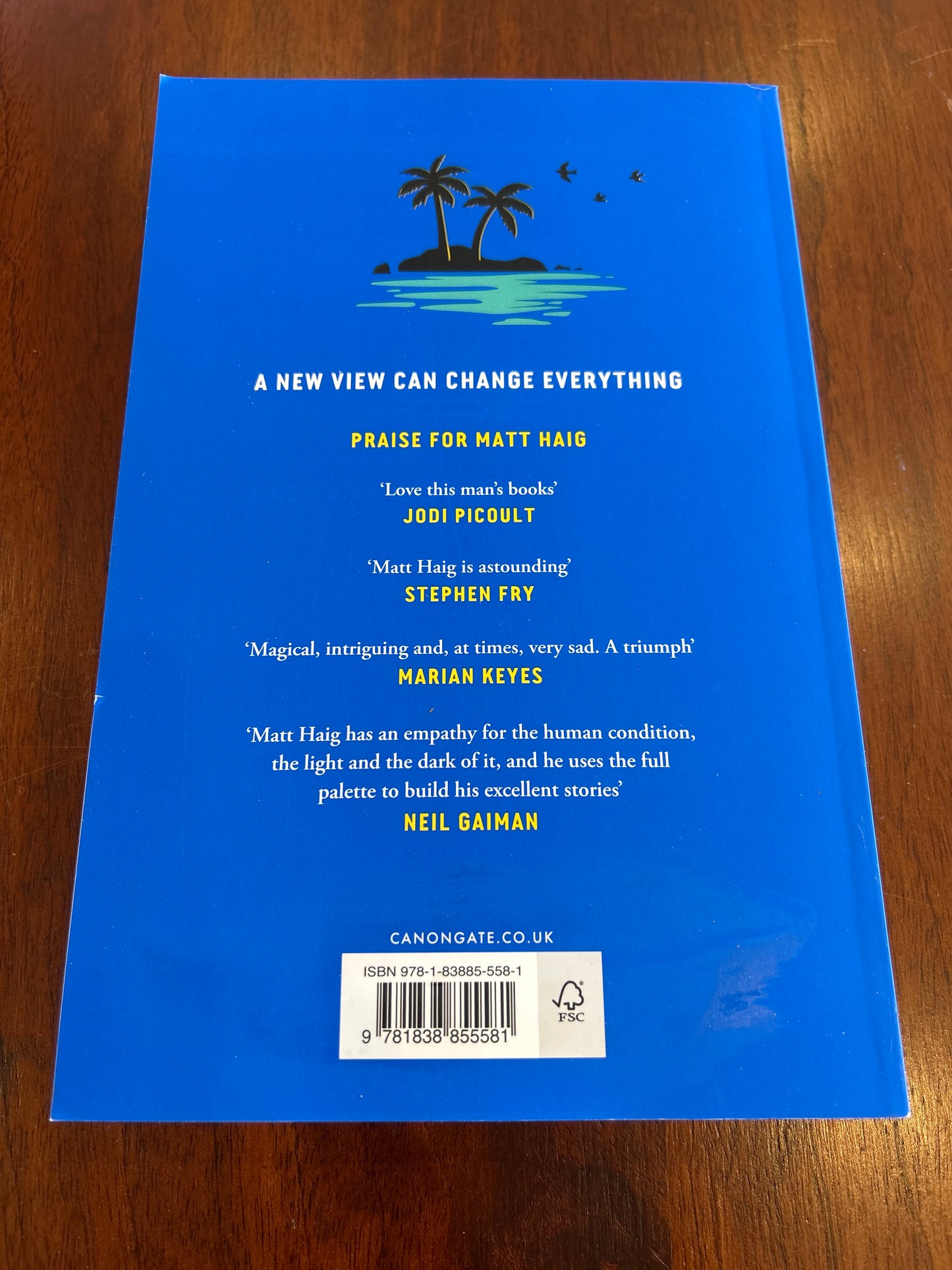 Life impossible. Matt Haig. 2024.