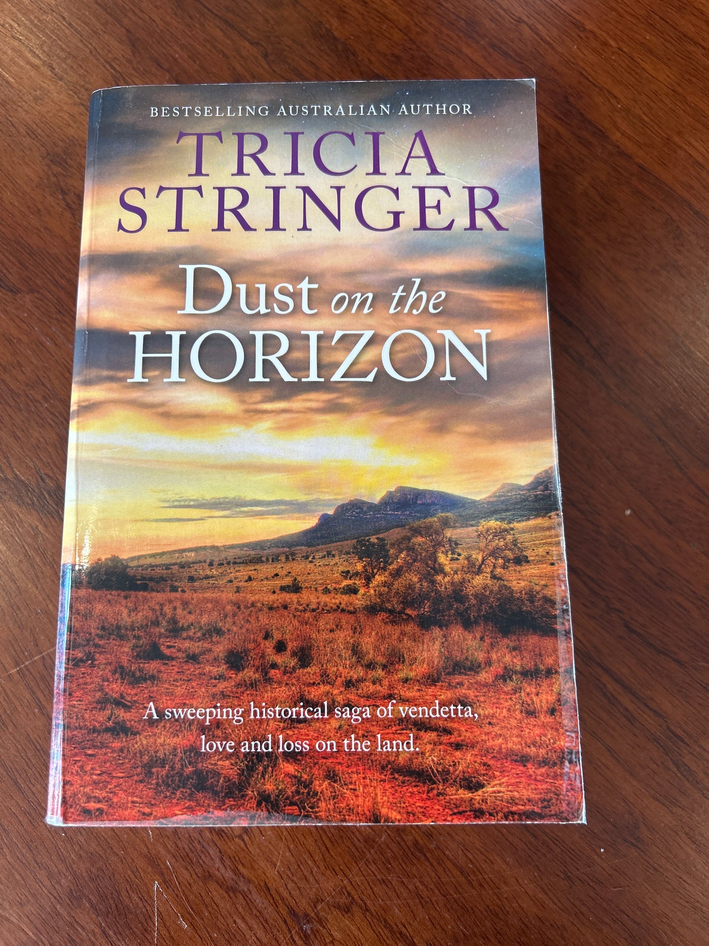 Dust on the horizon. Tricia Stringer. 2016.