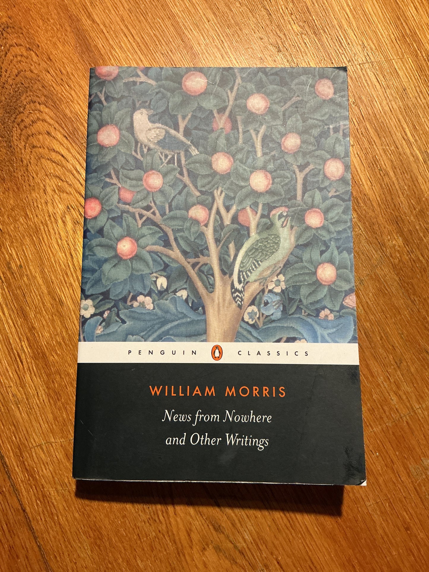 News from nowhere and other writings. William Morris. 2004.