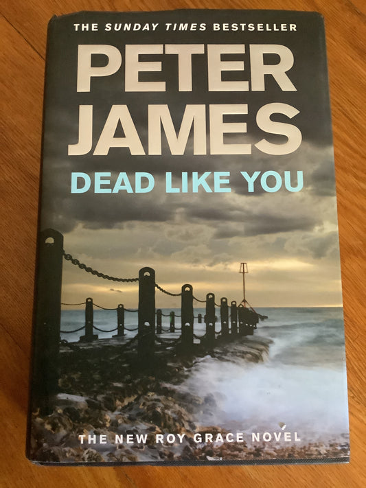 Dead like you. Peter James. 2010.