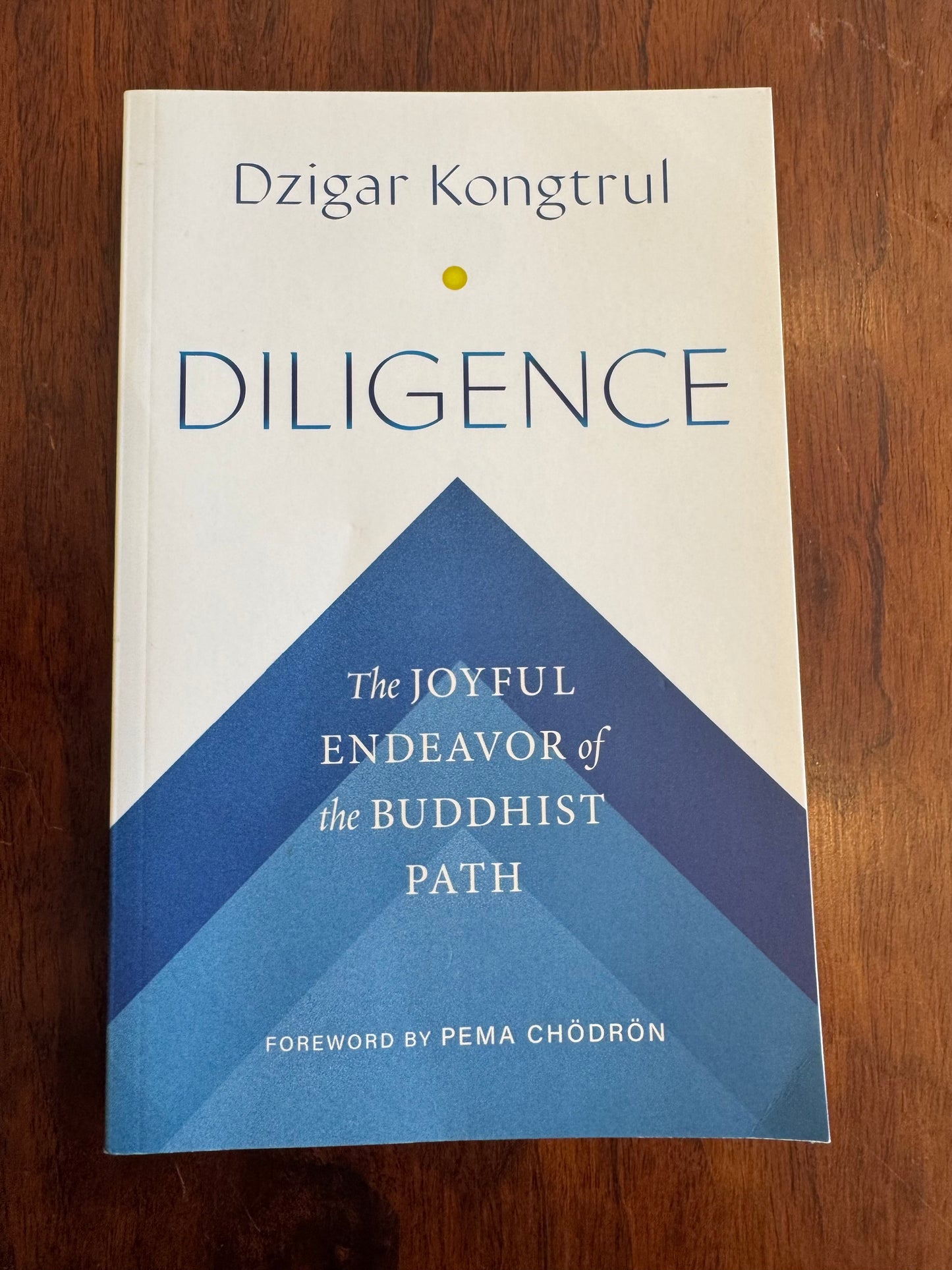 Diligence. Dzigar Kongtrul. 2024.