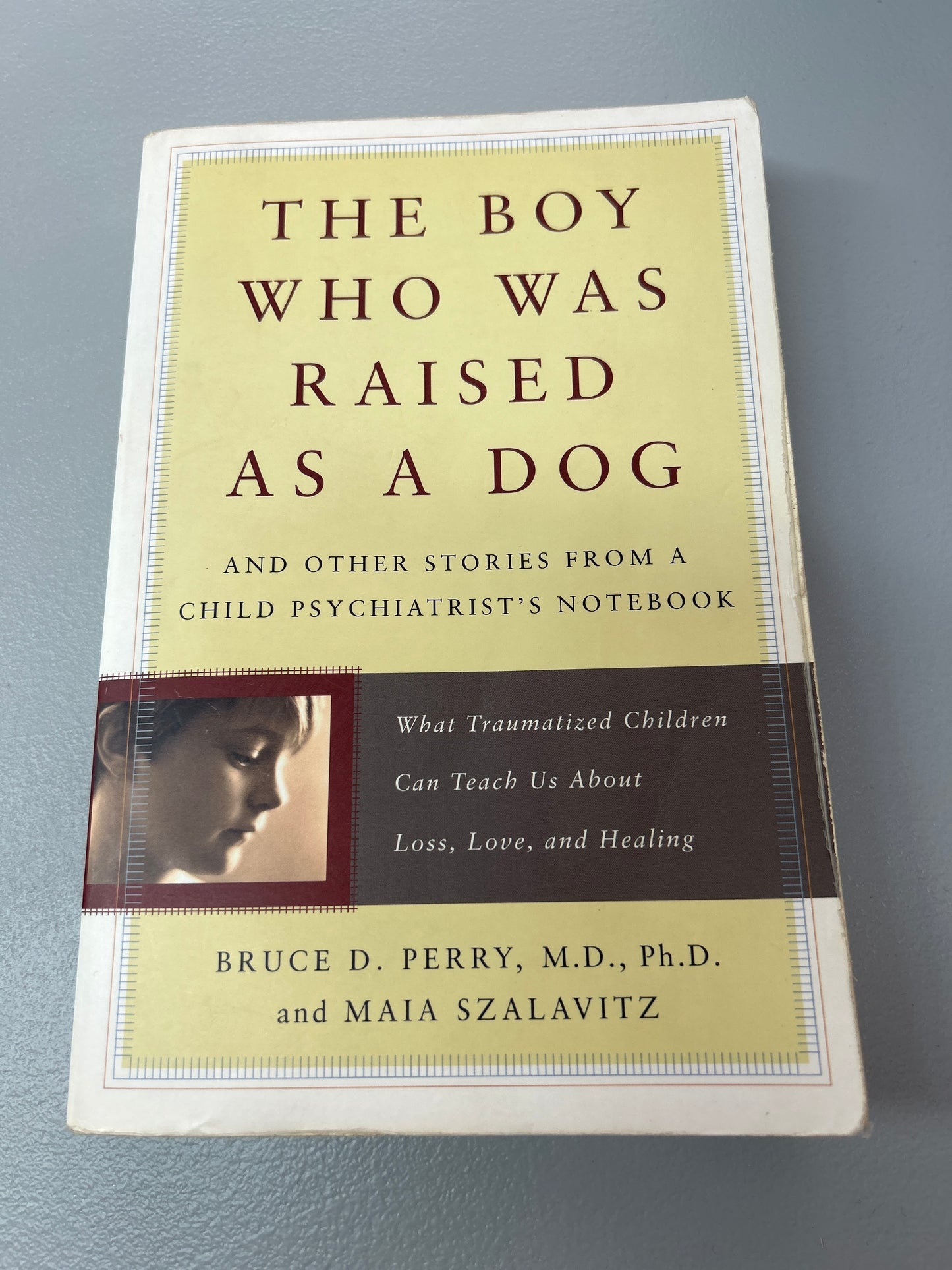 Boy who was raised as a dog and other stories from a child psychiatrist’s notebook: what traumatised children can teach us about loss, love and healing. Bruce Perry and Maia Szalavitz. 2008.