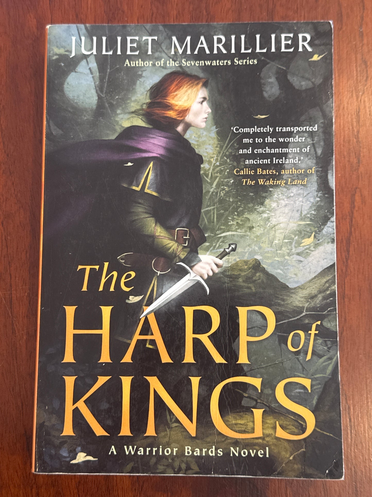 Harp of Kings. Juliet Marillier. 2019.