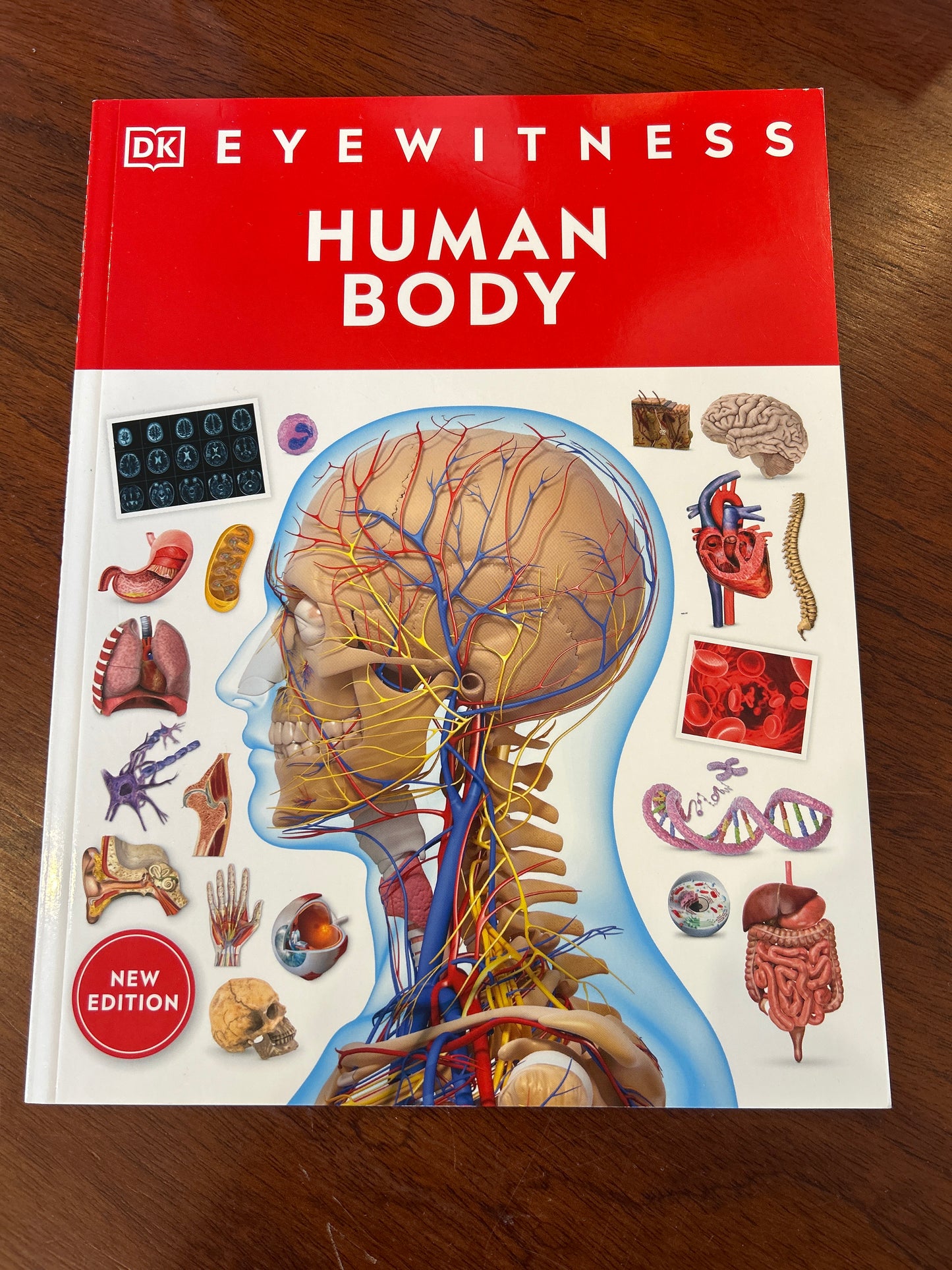 Eyewitness: human body. Richard Walker. 2023.
