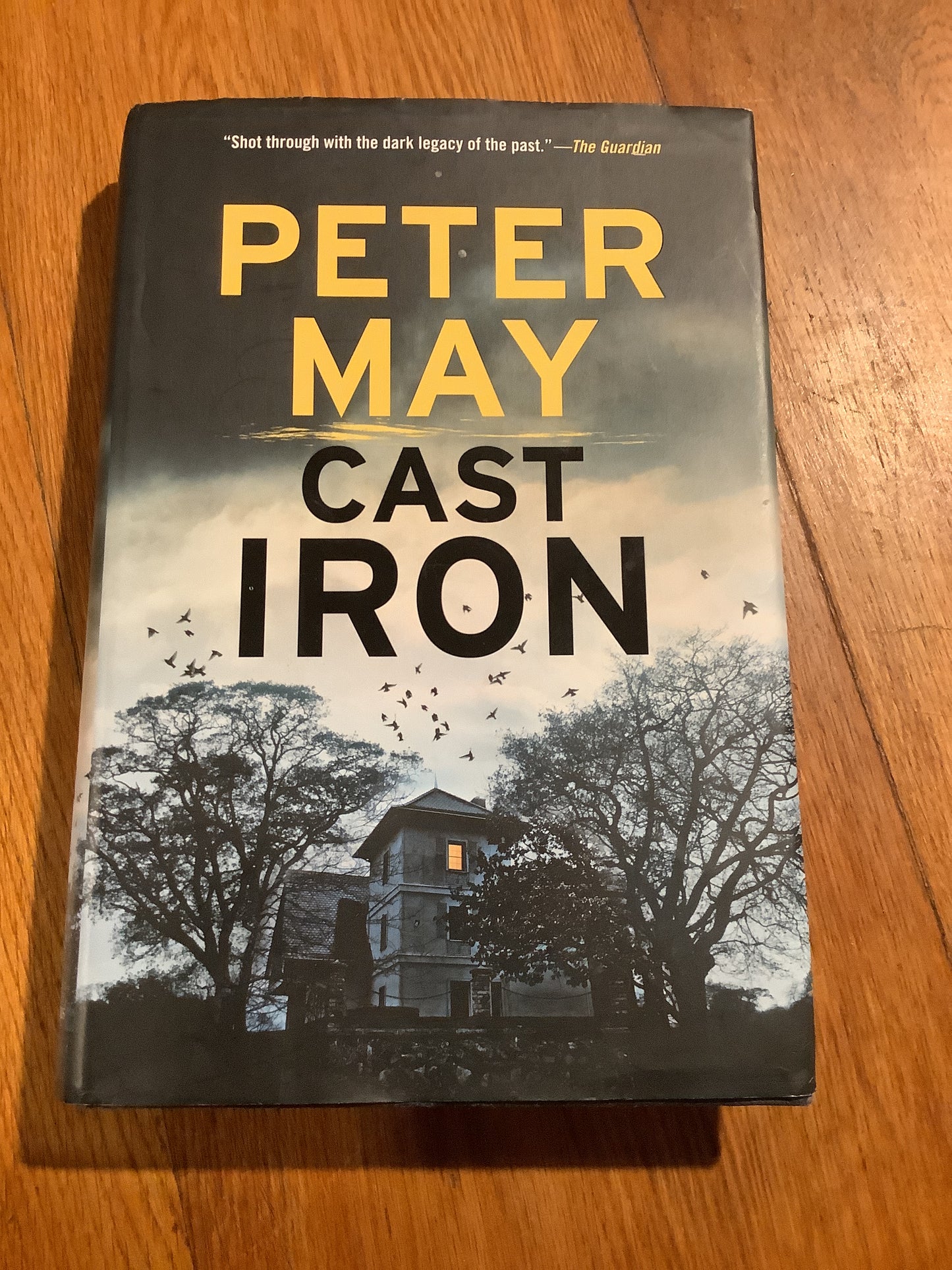 Cast iron. Peter May. 2017.