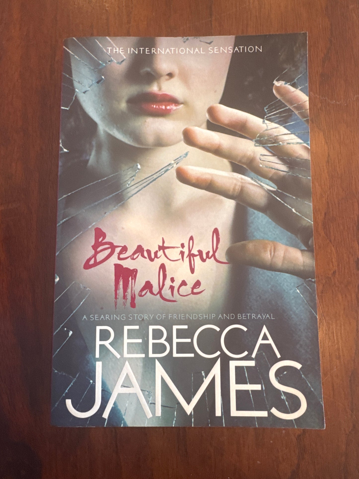 Beautiful malice. Rebecca James. 2010.