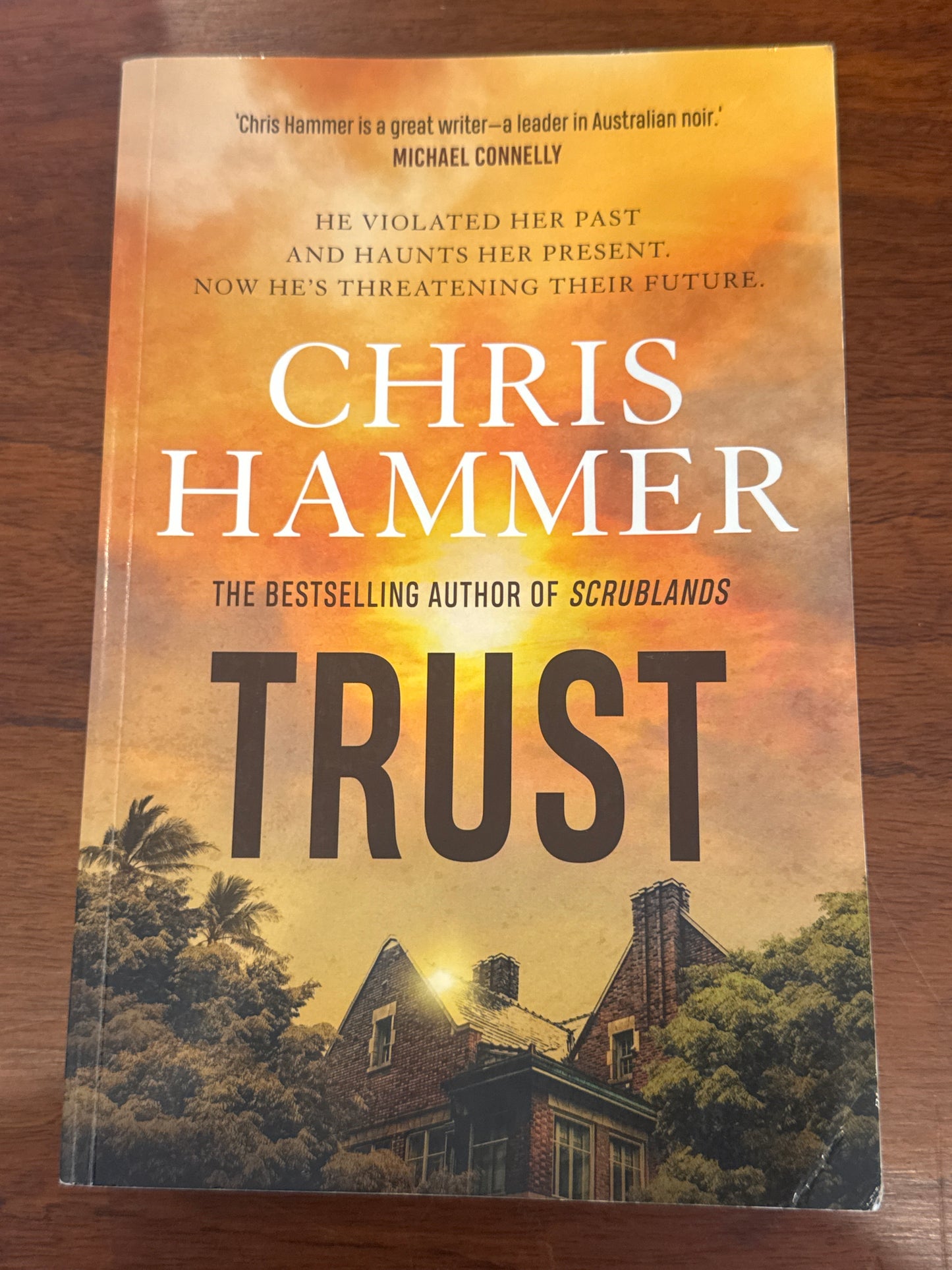 Trust. Chris Hammer. 2020.