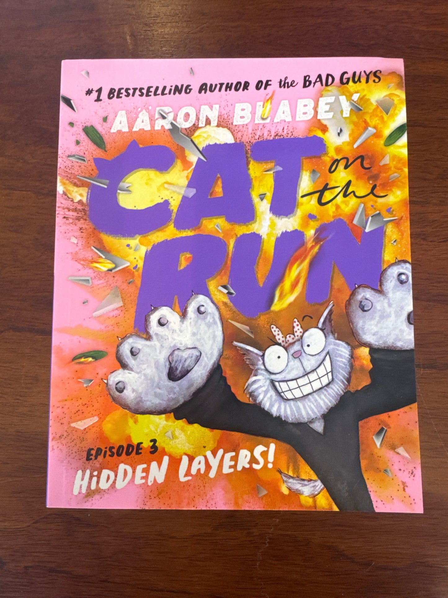 Cat on the run #3: hidden layers. Aaron Blabey. 2025.
