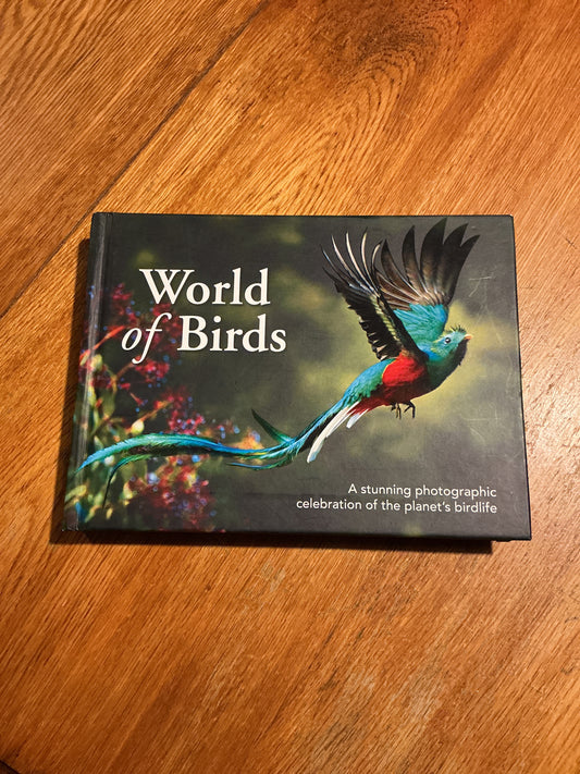 World of birds. [n. a.]. 2019.