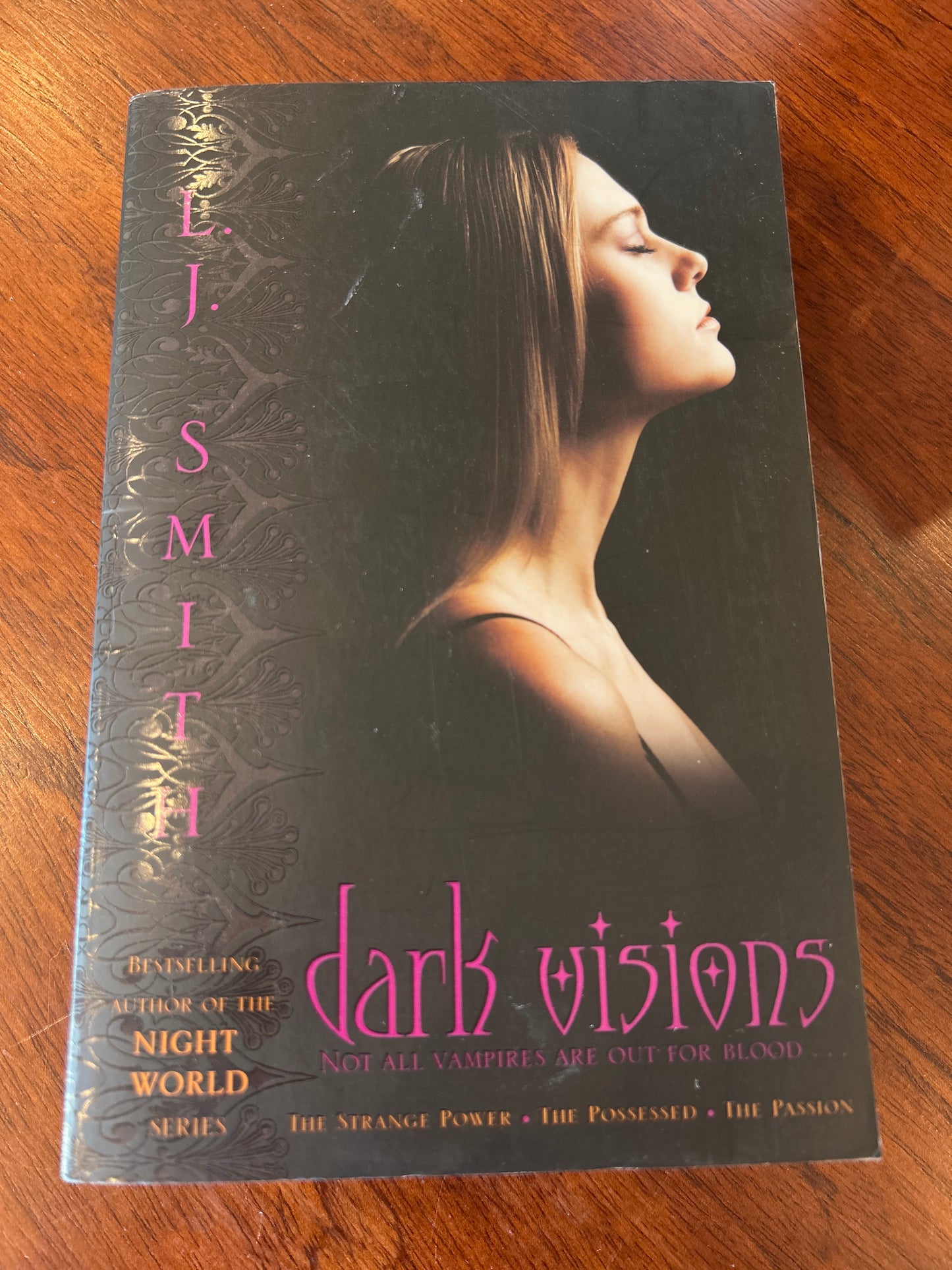 Dark visions. L. J. Smith. 2009.