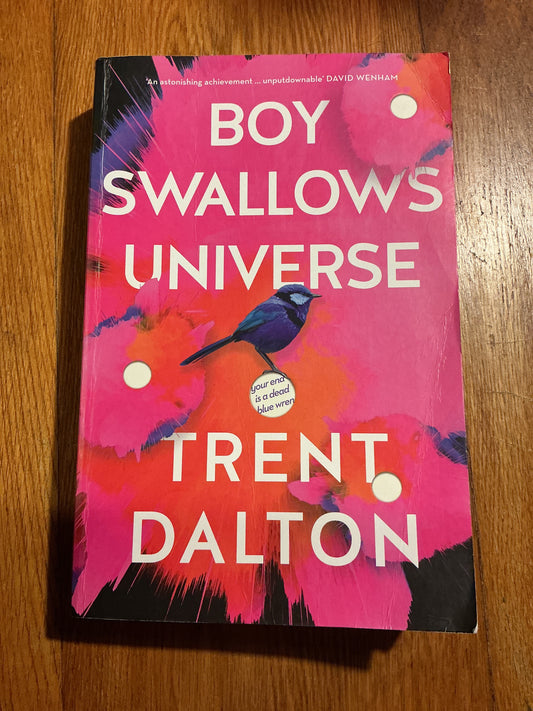 Boy swallows universe. Trent Dalton. 2018.