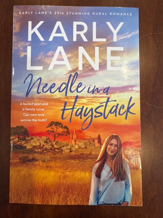 Needle in a Haystack. Karly Lane. 2025.