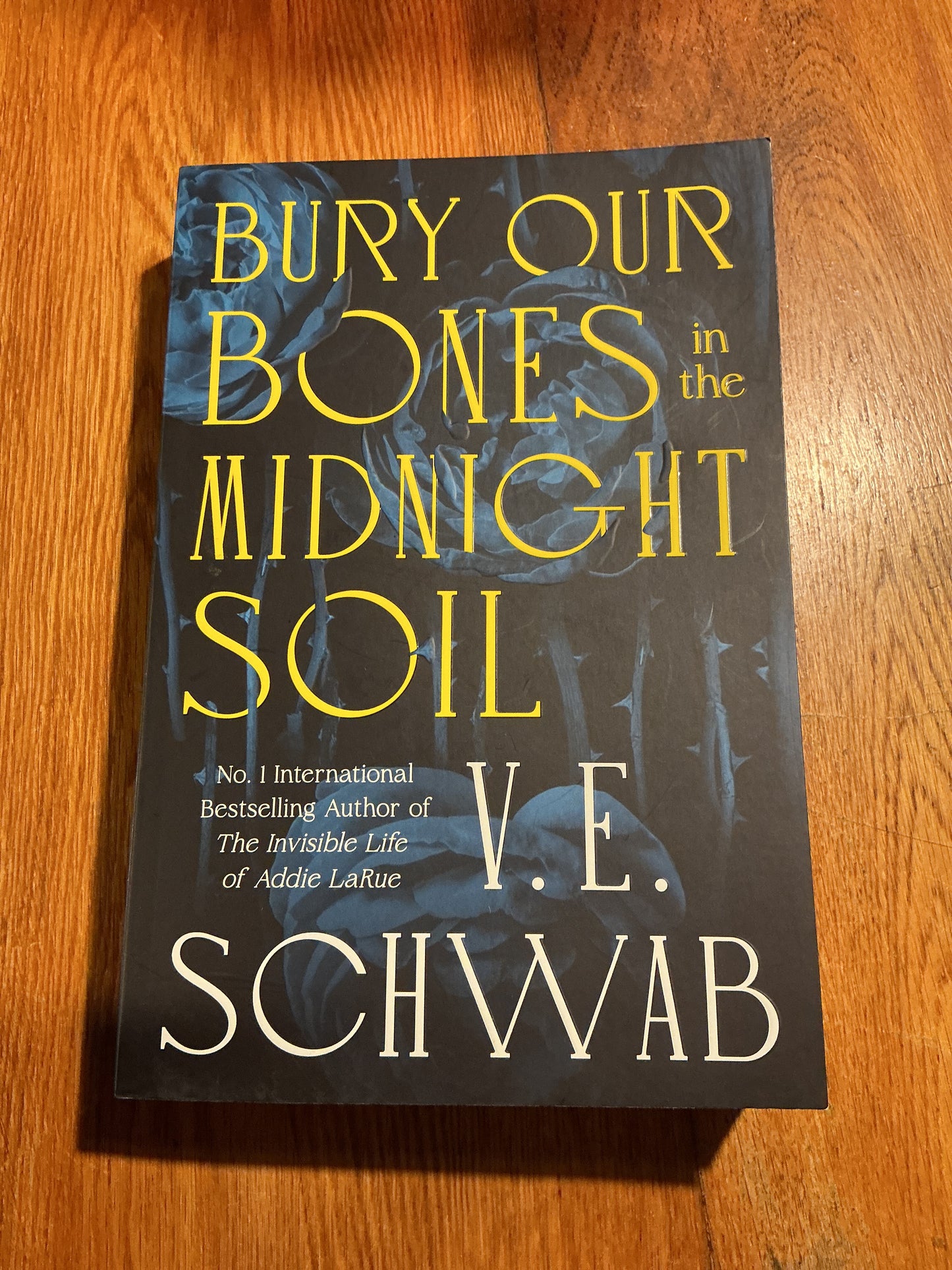 Bury our bones in the midnight soil. V. E. Schwab. 2025.