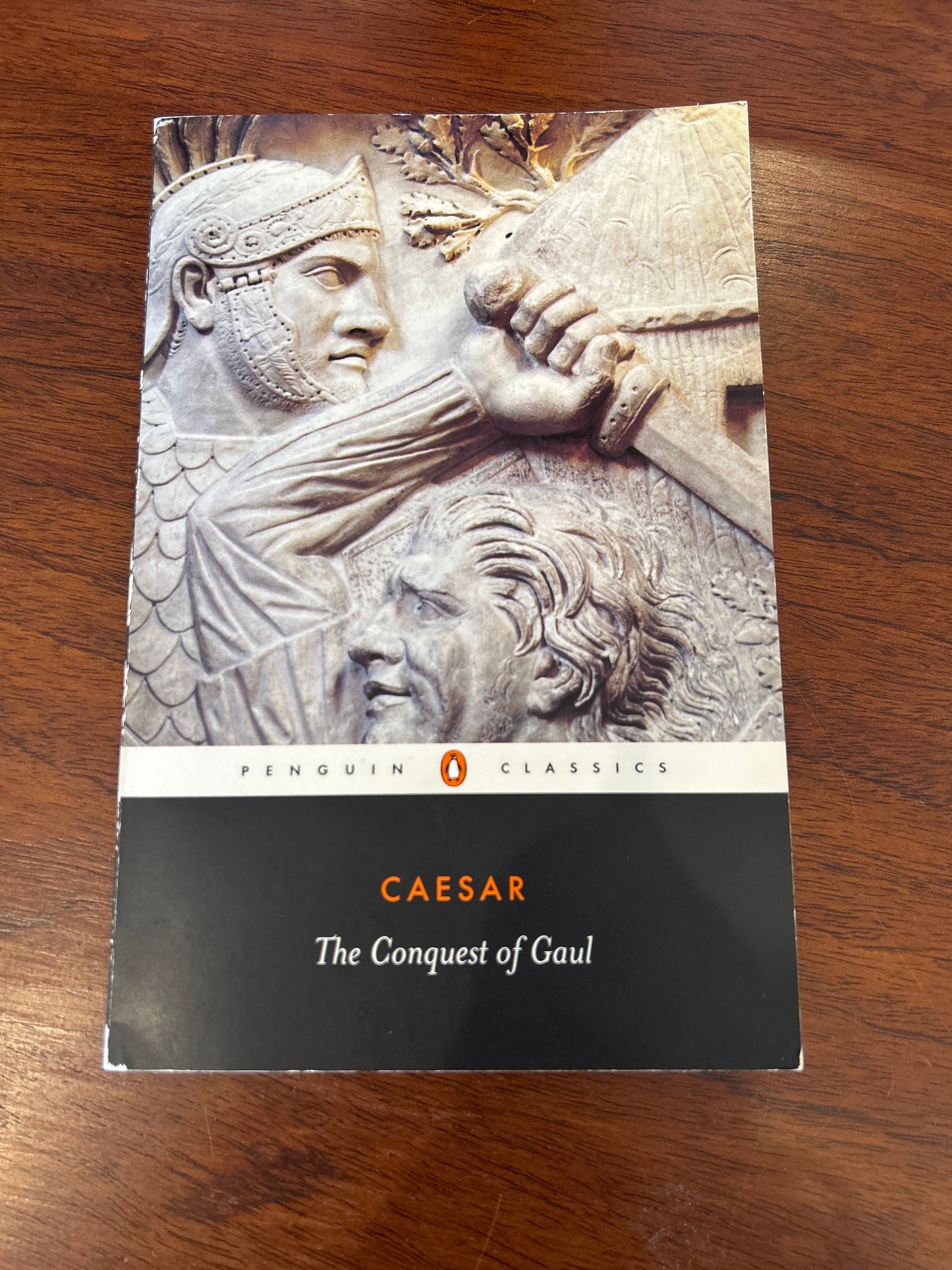 Conquest of Gaul. Caesar. 1982.