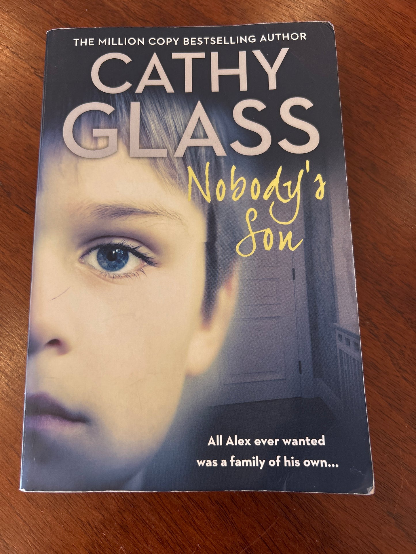 Nobody's son. Cathy Glass. 2017.