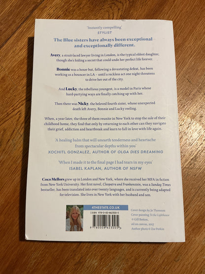 Blue sisters. Coco Mellors. 2024.