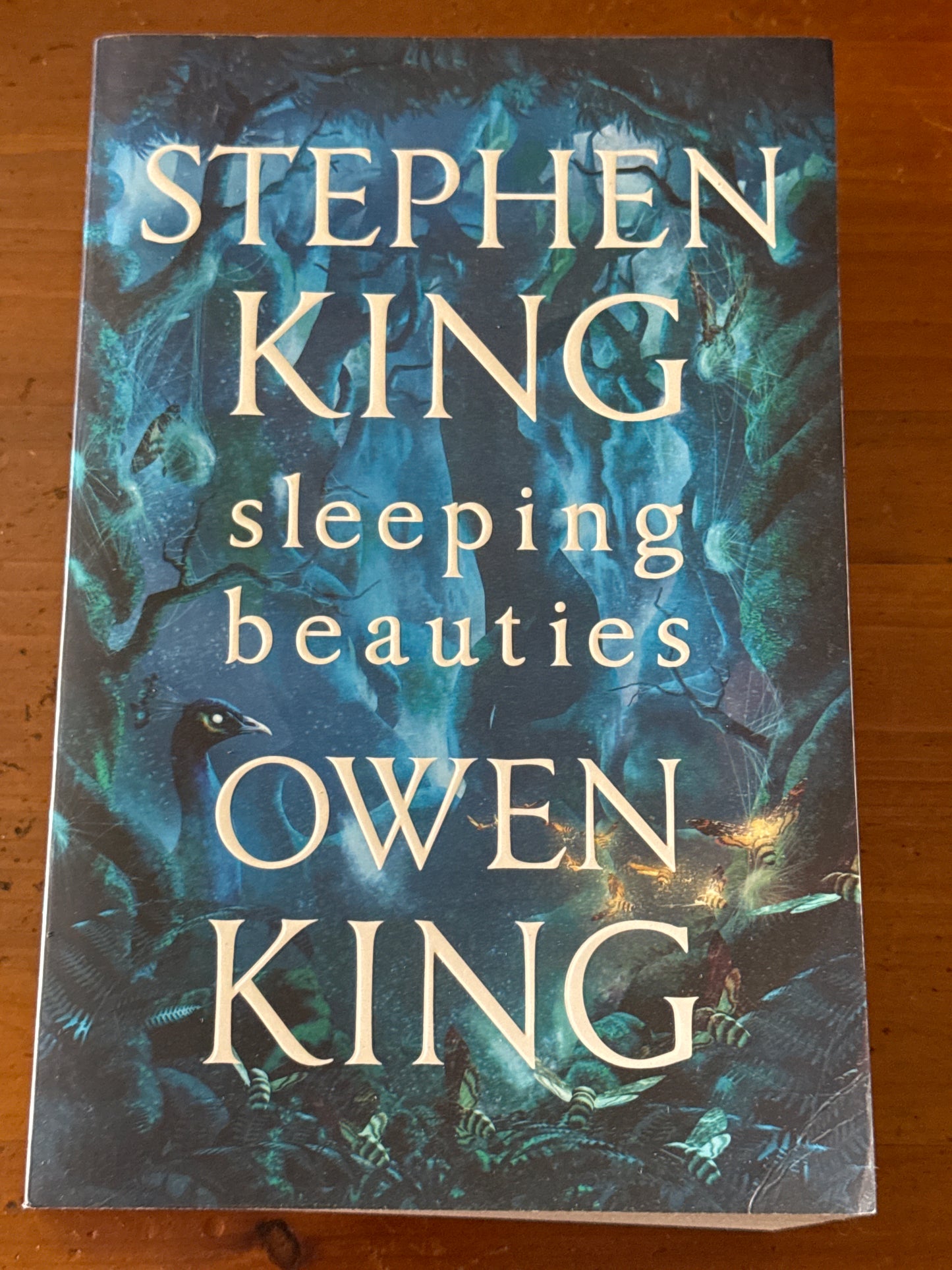 Sleeping beauties. Stephen King & Owen King. 2017.