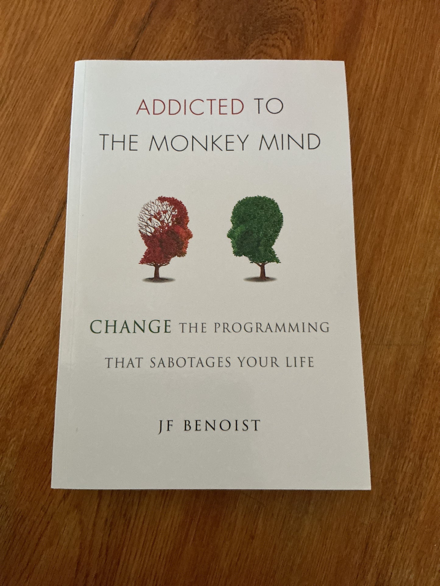 Addicted to the monkey mind: change the programming that sabotages your life. J. F. Benoist. 2018.