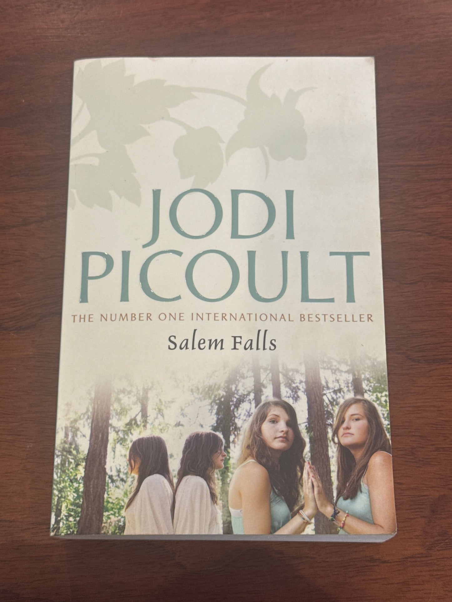 Salem falls. Jodi Picoult.