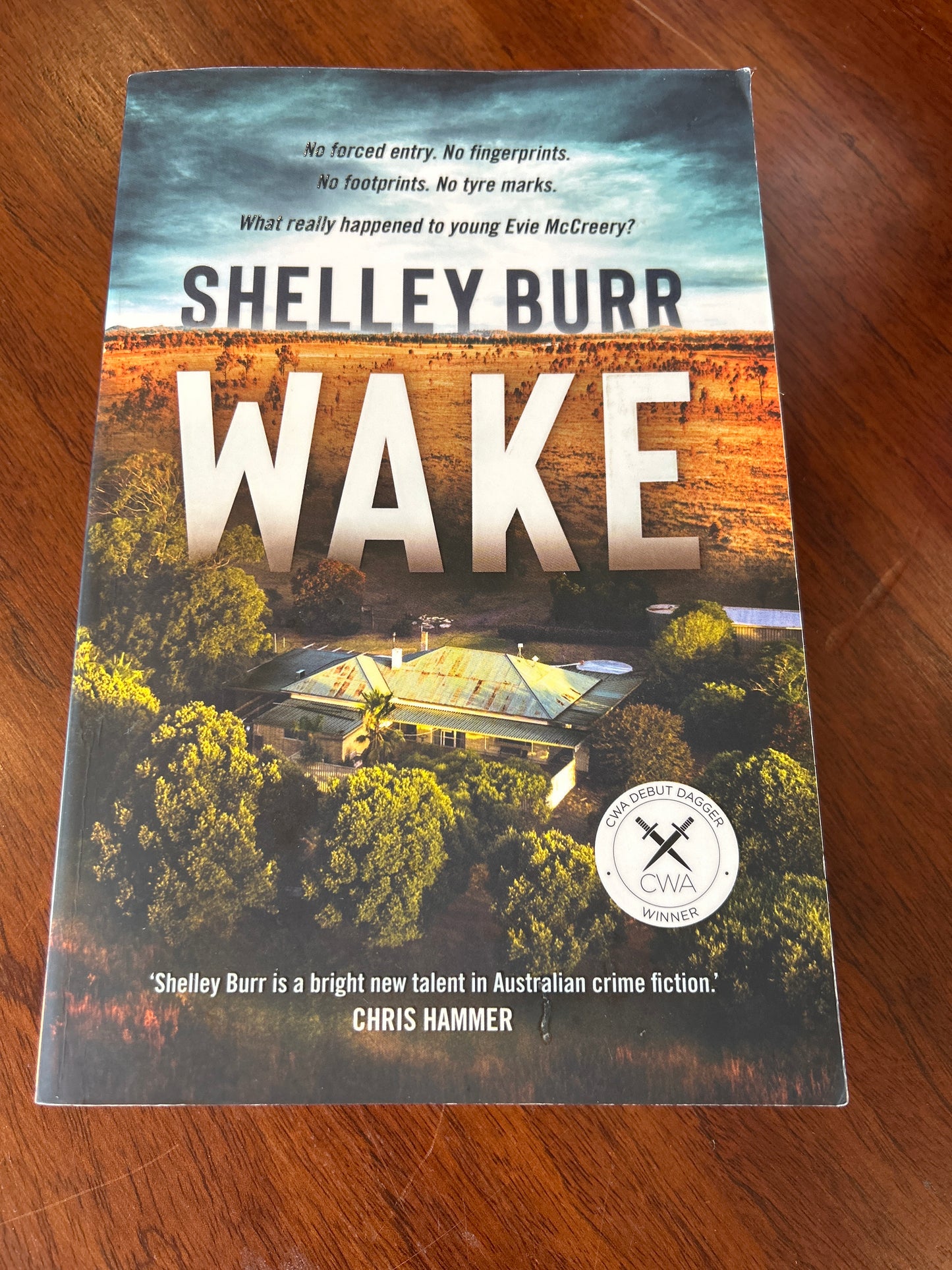 Wake. Shelley Burr. 2022.