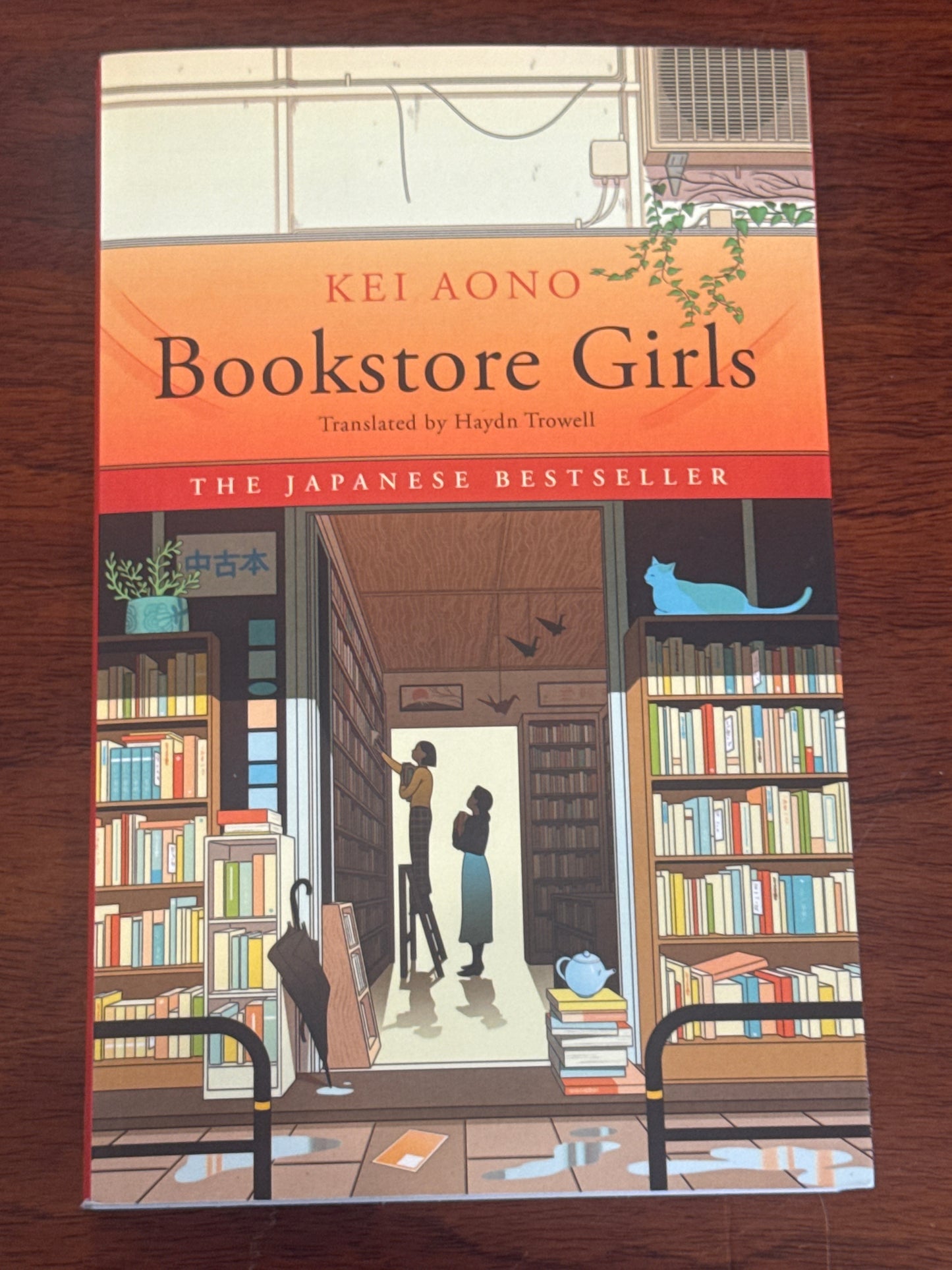 Bookstore girls. Kei Aono. 2025.