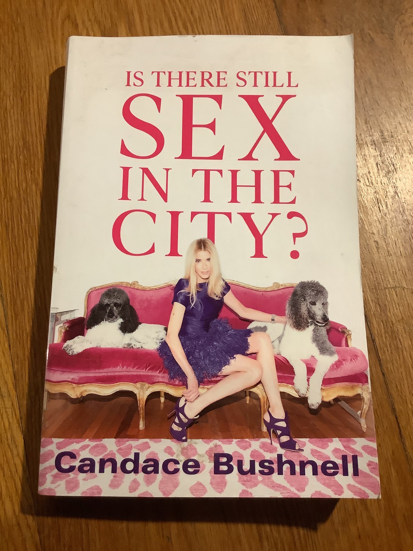 Is there still sex in the city? Candace Bushnell. 2019.