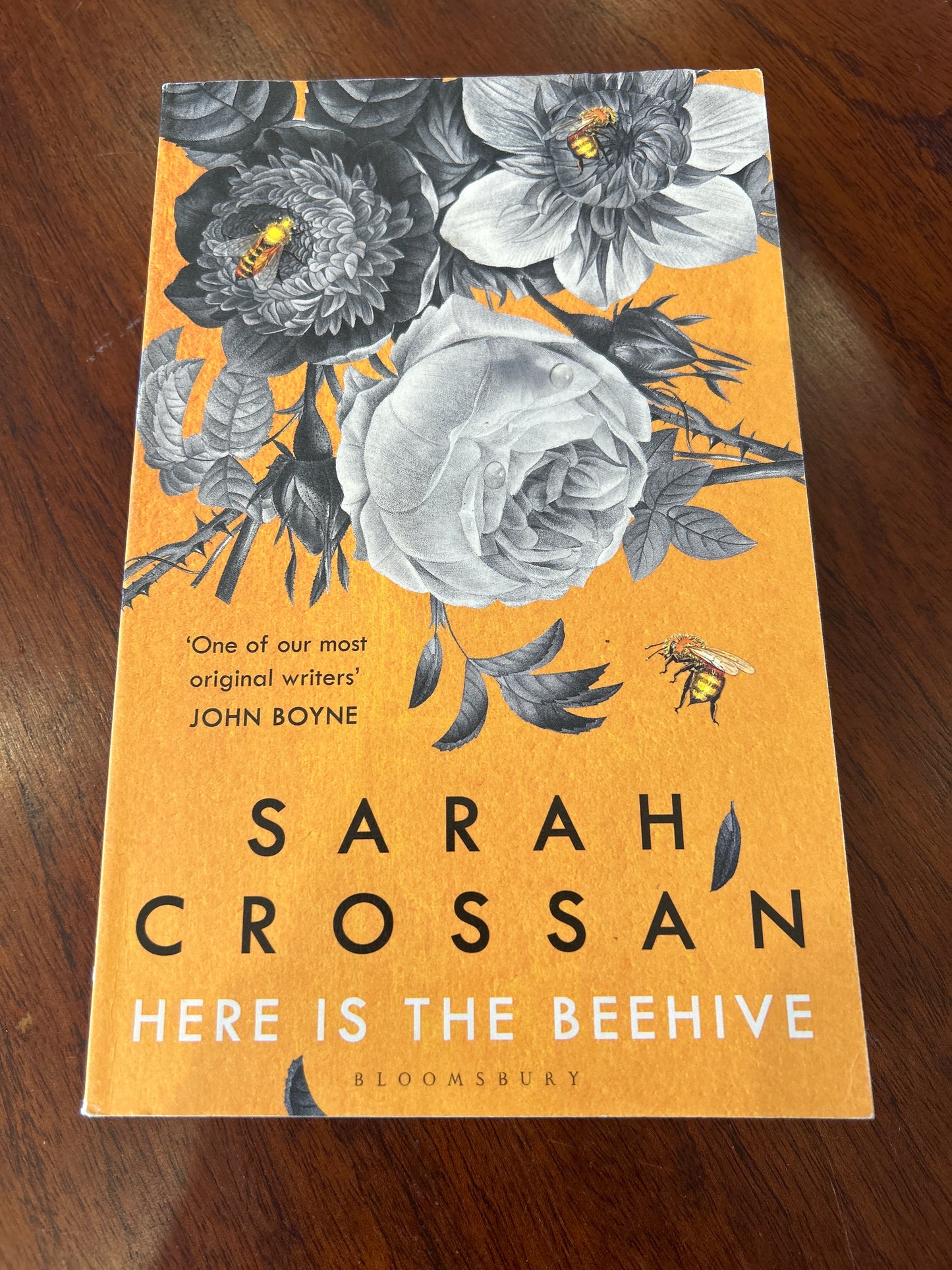 Here is the beehive. Sarah Crossan. 2020.
