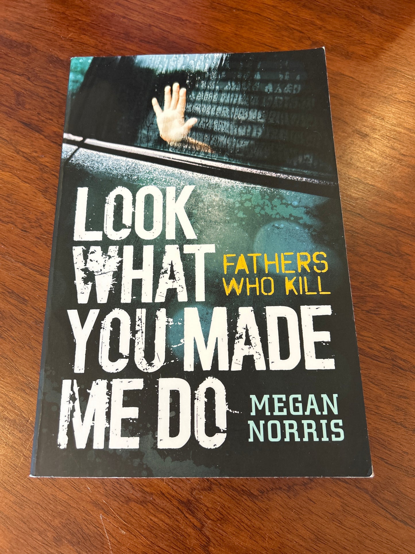 Look what you made me do: fathers who kill. Megan Norris. 2016.