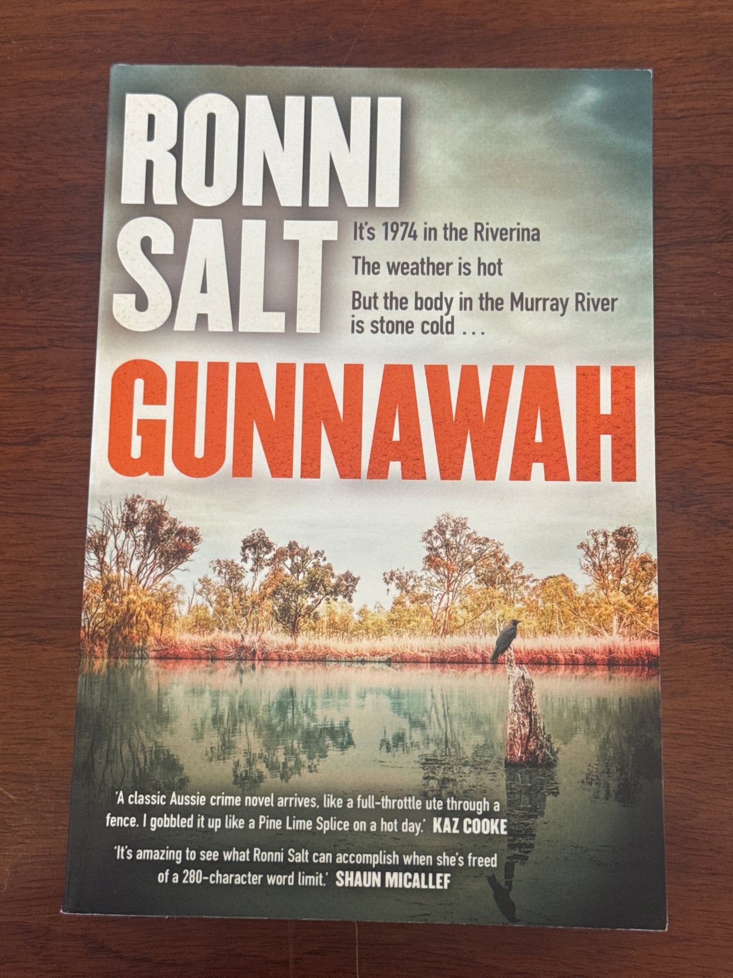 Gunnawah. Ronni Salt. 2025.
