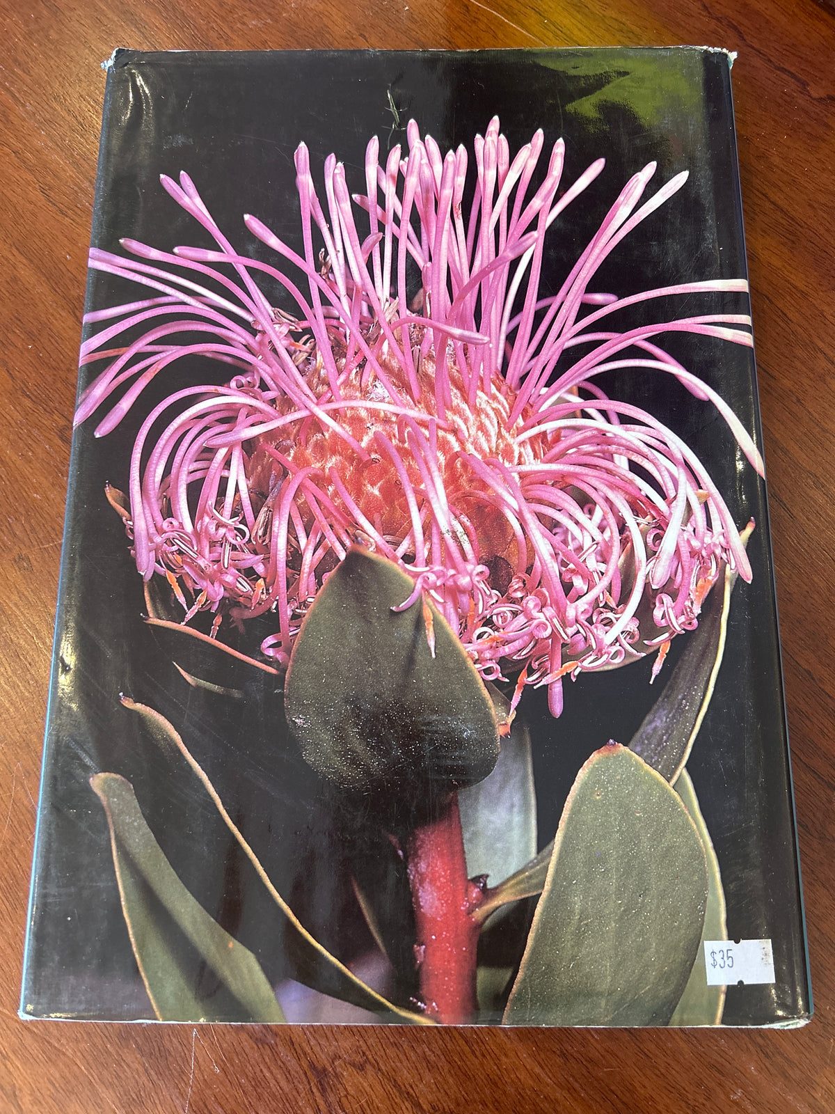 Greening of Gondwana. Mary E. White. 1986.