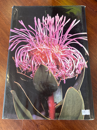 Greening of Gondwana. Mary E. White. 1986.