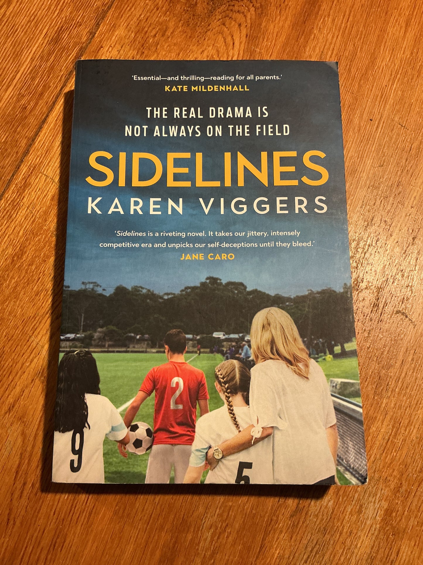 Sidelines. Karen Viggers. 2024.