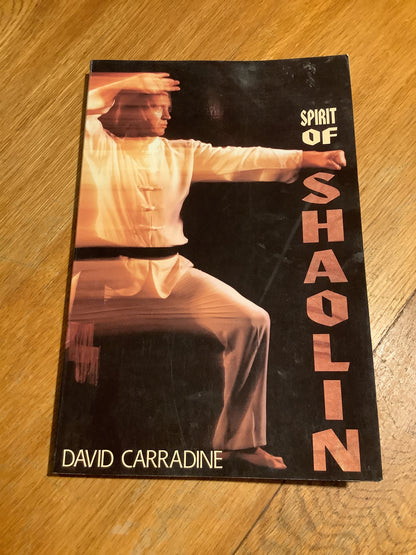 Spirit of Shaolin. David Carradine. 1991.