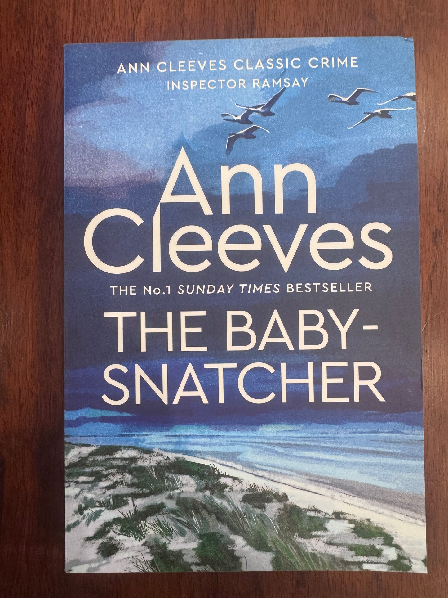 Baby-Snatcher. Ann Cleeves. 2025.