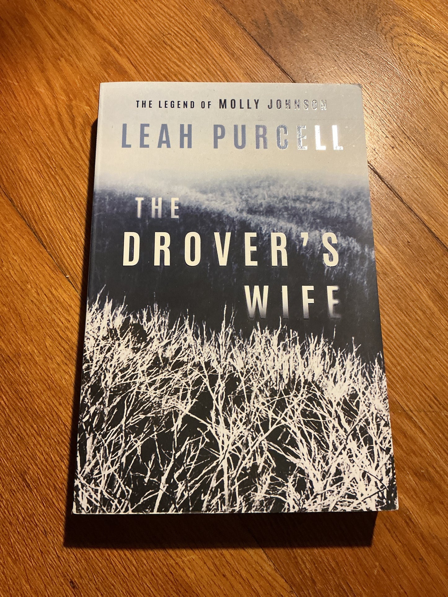 Drover’s wife: the legend of Molly Purcell. Leah Purcell. 2019.