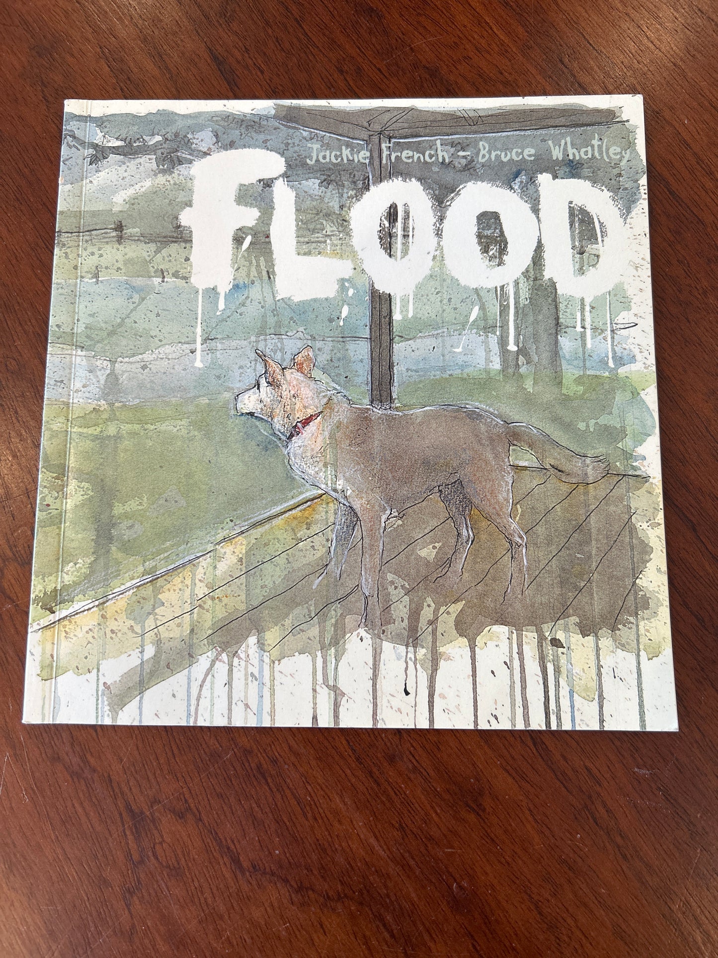 Flood. Jackie French and Bruce Whatley. 2020.