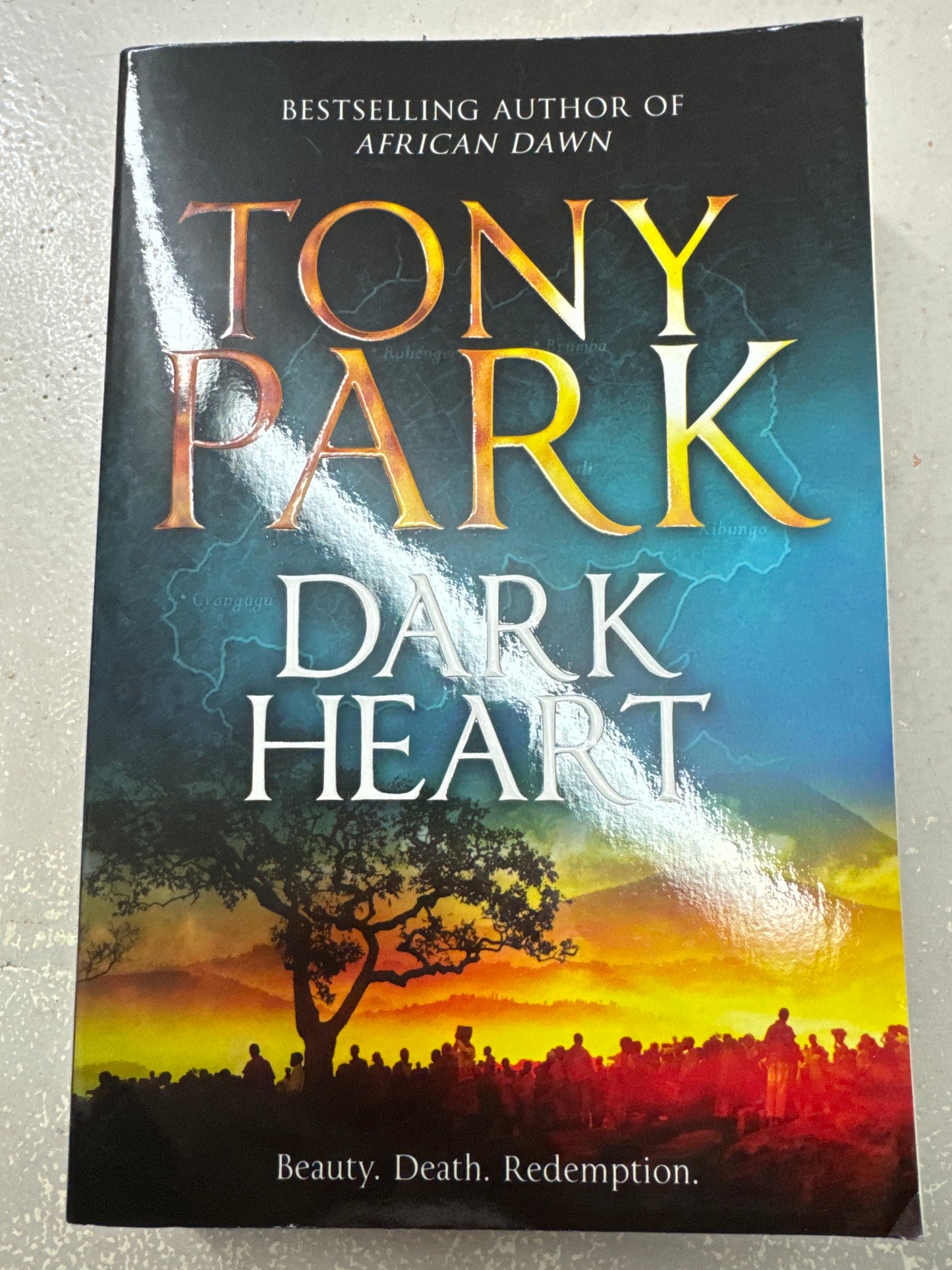 Dark Heart. Tony Park. 2012.