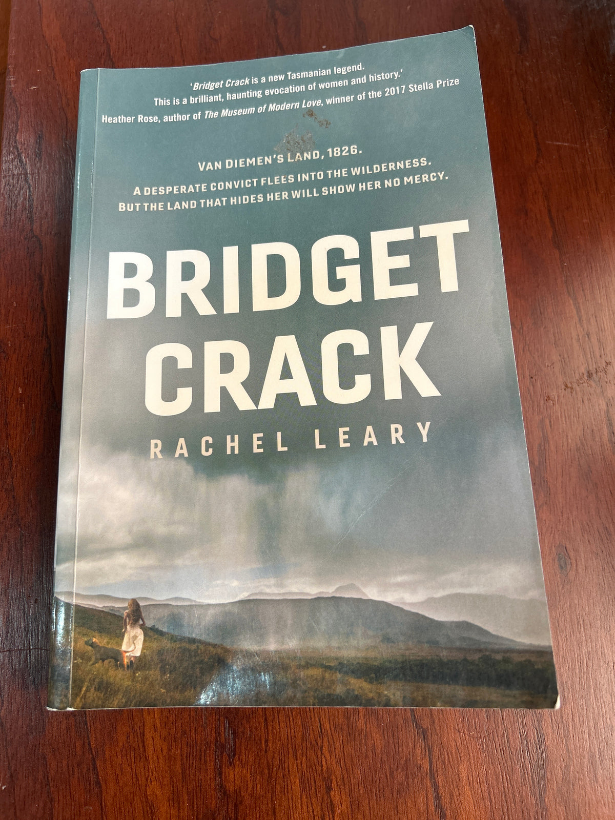 Bridget Crack. Rachel Leary. 2017.