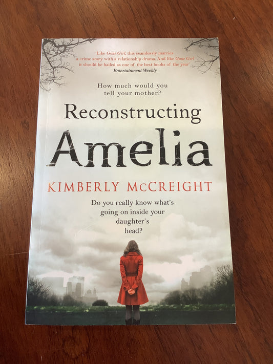 Reconstructing Amelia. Kimberly McCreight. 2013.