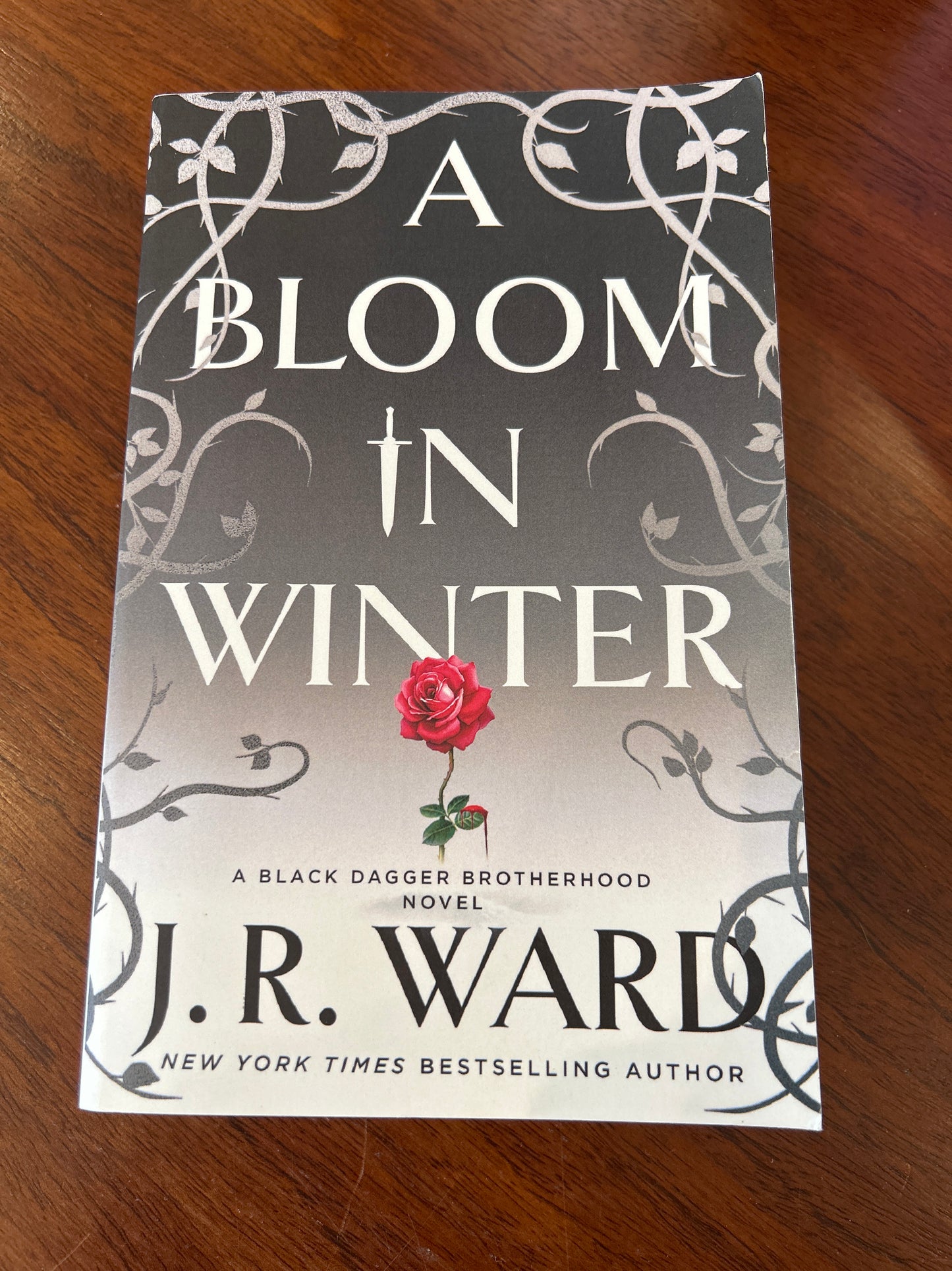 Bloom in winter. J. R. Ward. 2024.