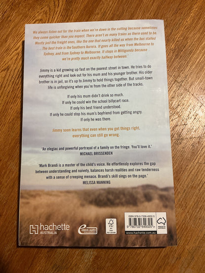 Southern Aurora. Mark Brandi. 2023.