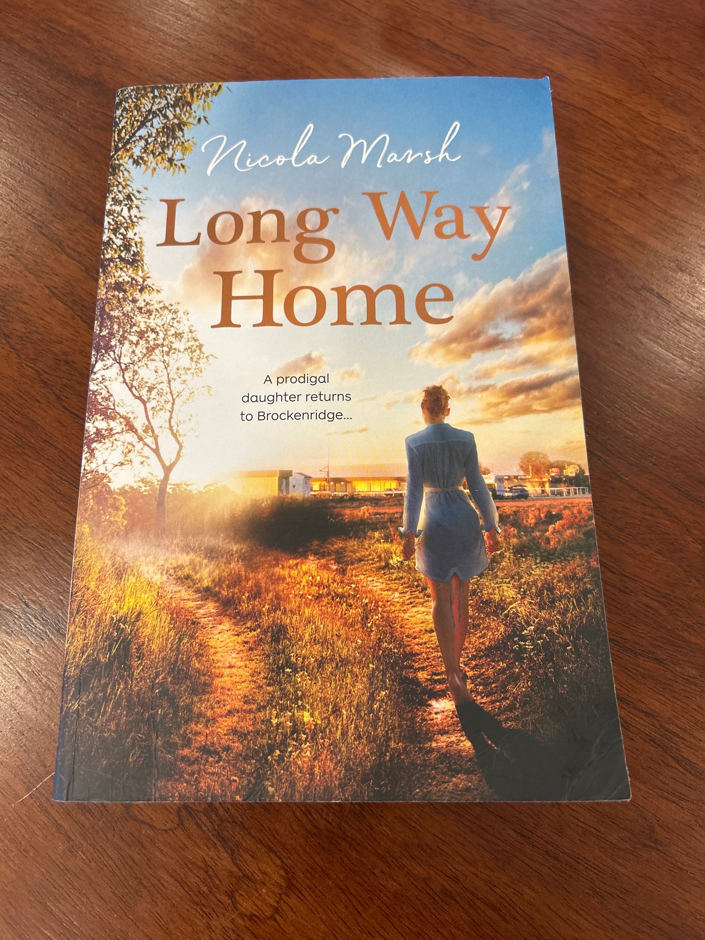 Long way home. Nicola Marsh. 2021.