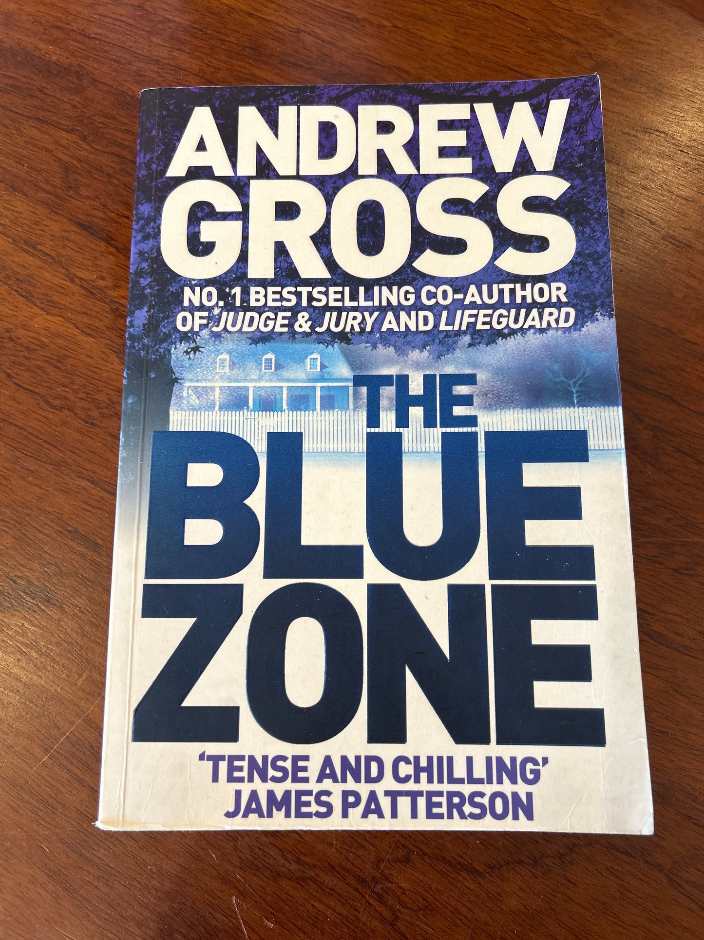 Blue zone. Andrew Gross. 2007.