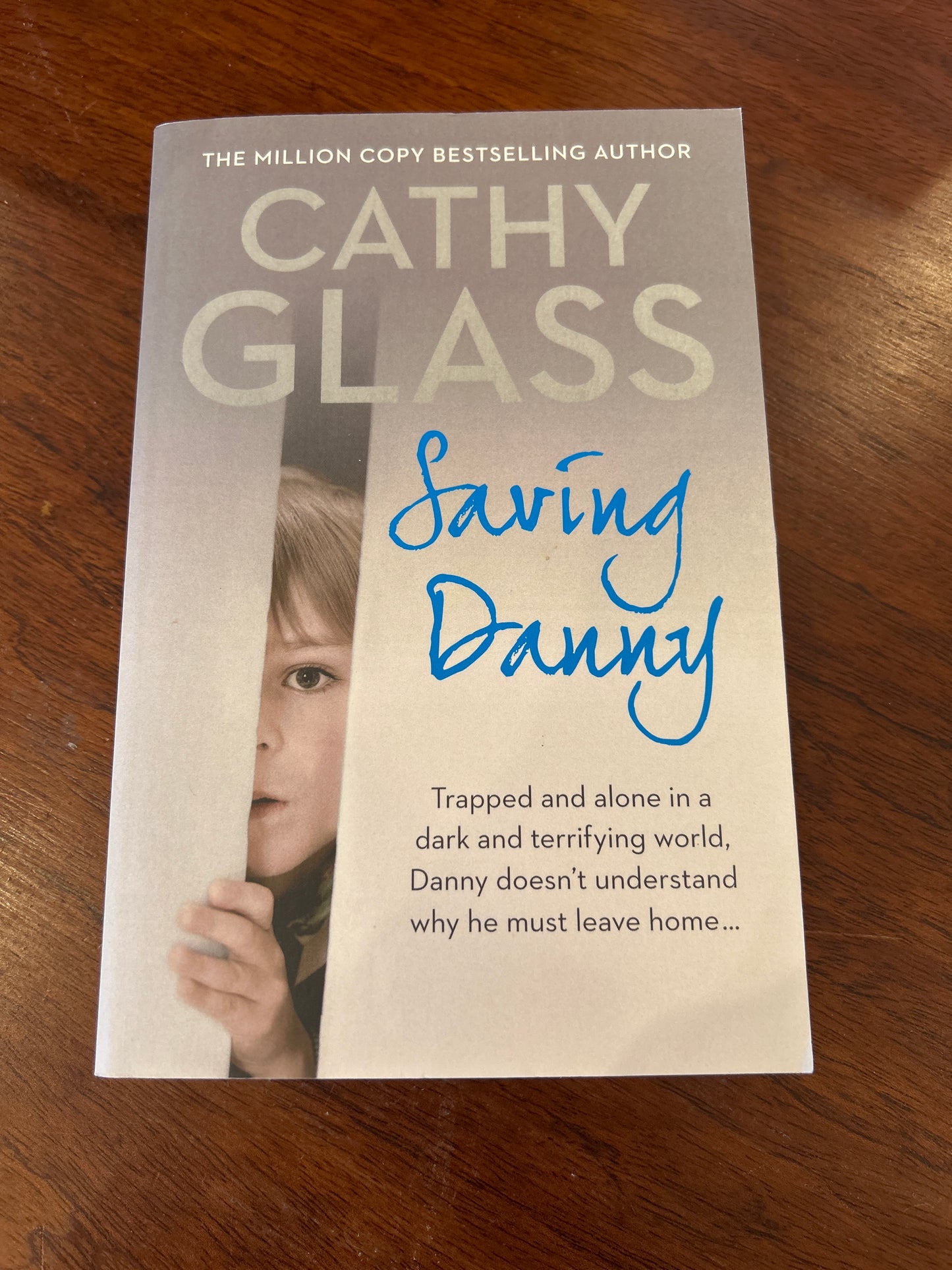 Saving Danny. Cathy Glass. 2015.