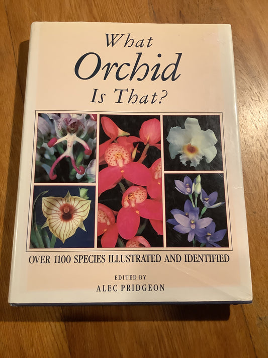 What orchid is that? Alec Pridgeon. 1992.