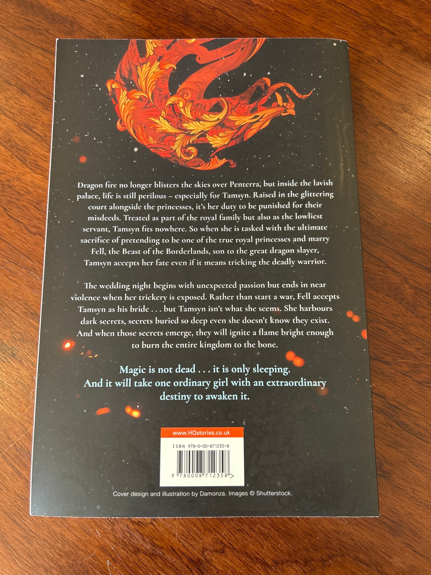Fire in the sky. Sophie Jordan. 2024.