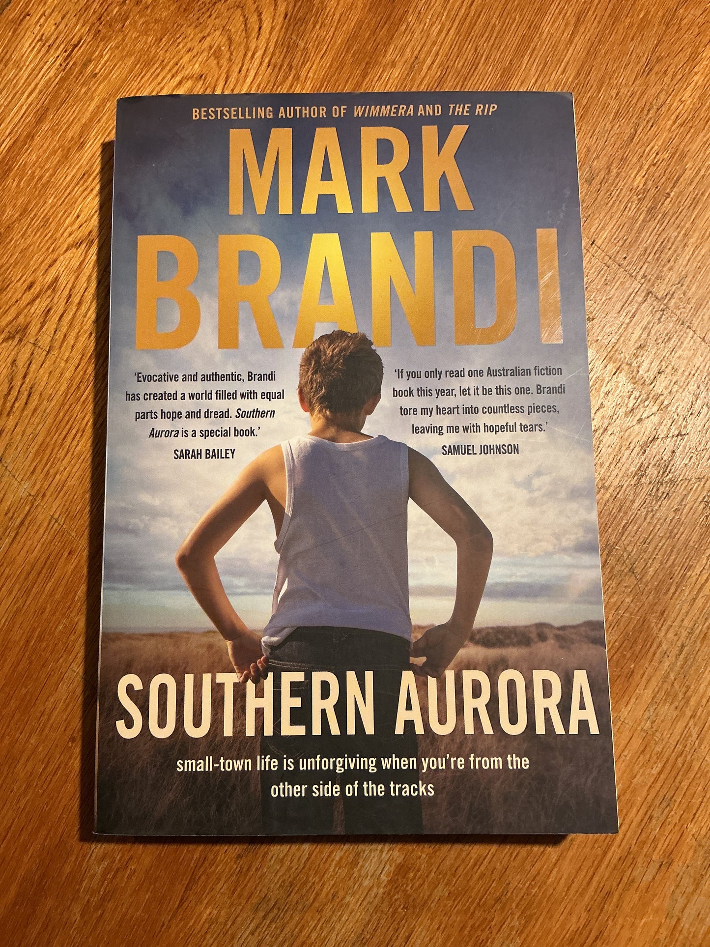 Southern Aurora. Mark Brandi. 2023.