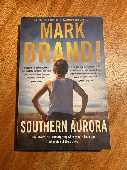 Southern Aurora. Mark Brandi. 2023.