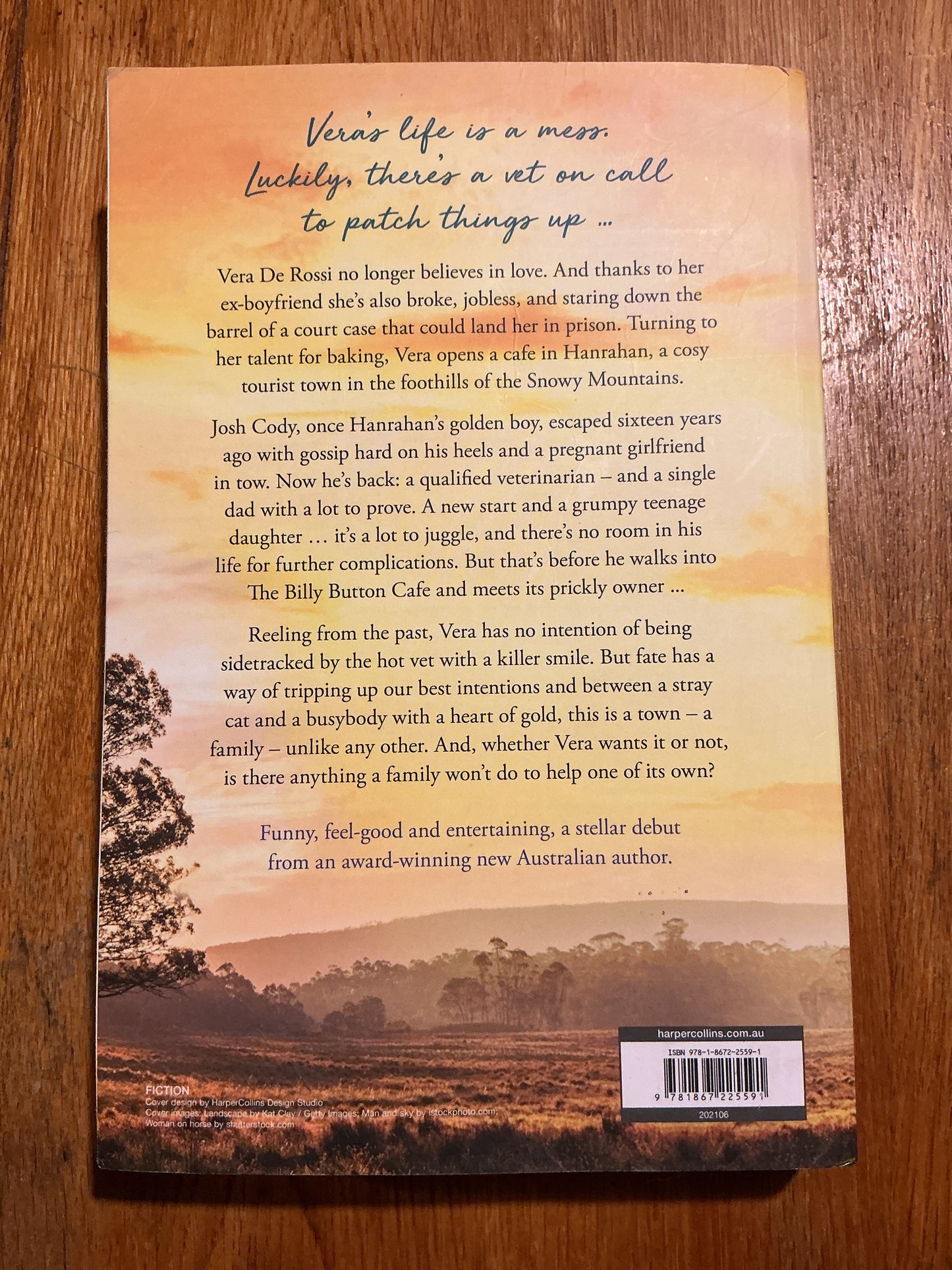 Vet from Snowy River. Stella Quinn. 2021.