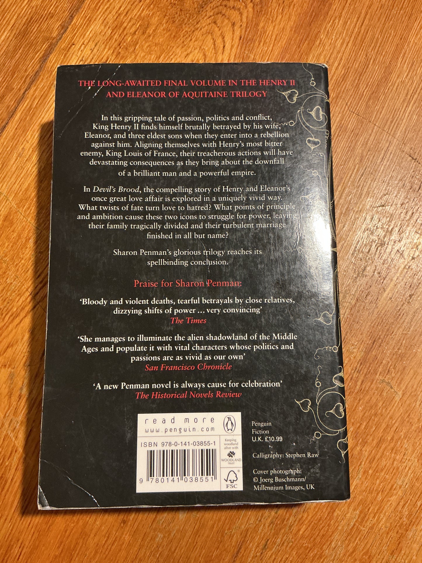 Devil’s brood. Sharon Penman. 2009.